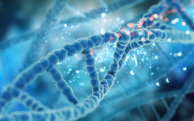 Bioinformatics